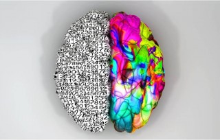 El talento innovador que no se encuentra se puede formar